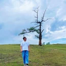 白哈巴景区 - 阿勒泰地区旅游 缩略图 1