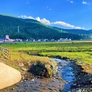白哈巴景区 - 阿勒泰地区旅游 缩略图 7