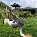 千山老院子景区 - 鞍山市旅游 缩略图 5