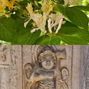 永清县白塔寺 - 廊坊市旅游 缩略图 5