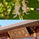 永清县白塔寺 - 廊坊市旅游 缩略图 6
