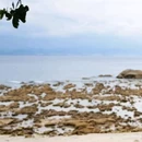 蜈支洲岛旅游区 - 三亚市旅游 缩略图 1