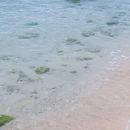 蜈支洲岛旅游区 - 三亚市旅游 缩略图 4