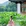 杭州市·杭州西湖风景名胜区-曲院风荷