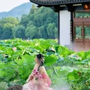 杭州西湖风景名胜区-曲院风荷 - 杭州市旅游 缩略图 1