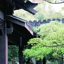 杭州西湖风景名胜区-曲院风荷 - 杭州市旅游 缩略图 4