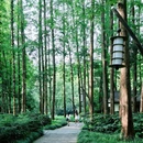 杭州西湖风景名胜区-曲院风荷 - 杭州市旅游 缩略图 7