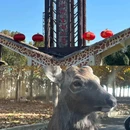 衡水野生动物园 - 衡水市旅游 缩略图 1