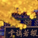 夕宿·金融城盛佰嘉精品酒店(观山湖区会展城银行北街店) - 贵阳市旅游 缩略图 5