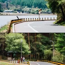 净月潭国家森林公园 - 长春市旅游 缩略图 4