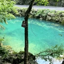 荔波小七孔 - 黔南布依族苗族自治州旅游 缩略图 5