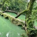 荔波小七孔 - 黔南布依族苗族自治州旅游 缩略图 11