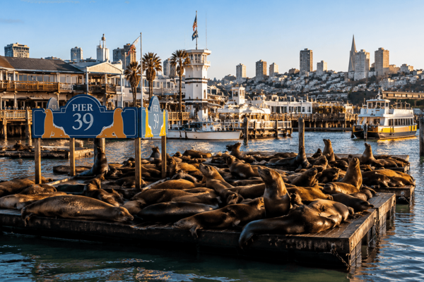 Fisherman’s Wharf