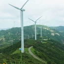 上川岛-风车山 - 江门市旅游 缩略图 11
