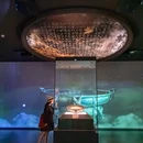 宝鸡青铜器博物院 - 宝鸡市旅游 缩略图 3