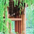杭州国家版本馆 - 杭州市旅游 缩略图 5