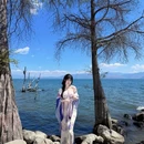 洱海景区 - 大理白族自治州旅游 缩略图 3