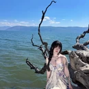 洱海景区 - 大理白族自治州旅游 缩略图 8
