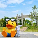 柳山湖景区 - 宿迁市旅游 缩略图 5