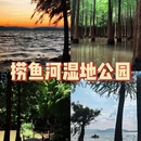 捞鱼河湿地公园 - 昆明市旅游 缩略图 1