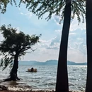 捞鱼河湿地公园 - 昆明市旅游 缩略图 5
