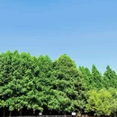 捞鱼河湿地公园 - 昆明市旅游 缩略图 6