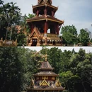 西双版纳热带花卉园 - 西双版纳傣族自治州旅游 缩略图 2