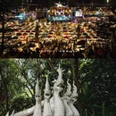 西双版纳热带花卉园 - 西双版纳傣族自治州旅游 缩略图 9
