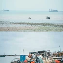 钦州三娘湾 - 钦州市旅游 缩略图 3