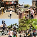 呀路古热带植物园 - 北京市旅游 缩略图 3