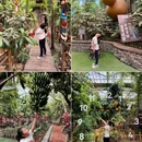 呀路古热带植物园 - 北京市旅游 缩略图 5