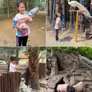 呀路古热带植物园 - 北京市旅游 缩略图 8