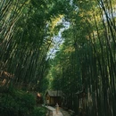 西安鲸鱼沟竹海风景区 - 西安市旅游 缩略图 1