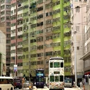 香港旅游 缩略图 11