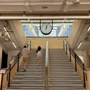 香港旅游 缩略图 12