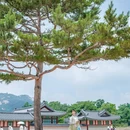 首尔 - 韩国旅游 缩略图 6