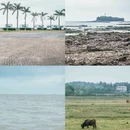 大墩海海滩 - 北海市旅游 缩略图 5