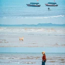 大墩海海滩 - 北海市旅游 缩略图 2