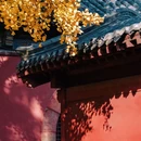 泰安泰山岱庙溪美雅居酒店 - 泰安市旅游 缩略图 2