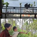 千岛湖风景区 - 杭州市旅游 缩略图 8