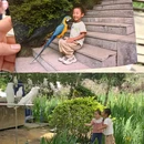 千岛湖风景区 - 杭州市旅游 缩略图 6