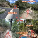 香港旅游 缩略图 13