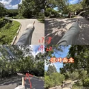香港旅游 缩略图 12
