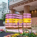 香港旅游 缩略图 5
