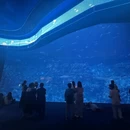 香港旅游 缩略图 14