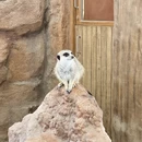 香港旅游 缩略图 5