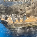 香港旅游 缩略图 7