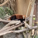 香港旅游 缩略图 4