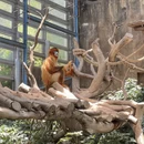 香港旅游 缩略图 2