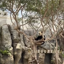 香港旅游 缩略图 3